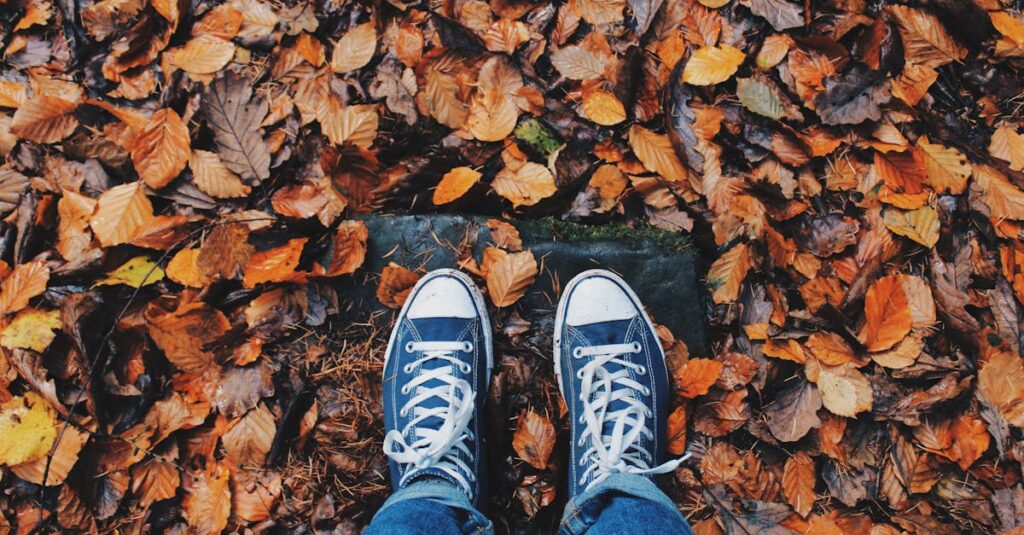 découvrez la saison du jeu the walking dead, une aventure intense où vos choix façonnent l'histoire dans un univers post-apocalyptique rempli de zombies.